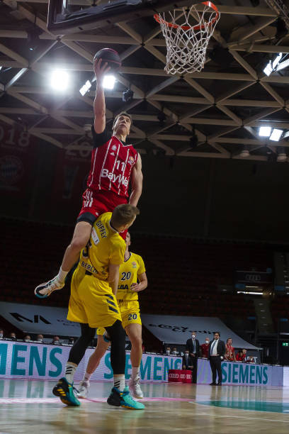 博格巴的名 博格巴的名